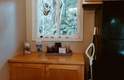 Port Angeles Cottage | Cozy Cabin+Dog Stay FREE+Hurricane Ridge+Olympic National Park