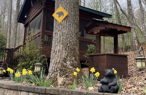 Blue Ridge Cabin | Cozy cabin getaway in the woods w/private hot tub and fire pit