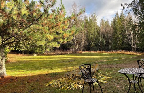 Boundary County Cabin | Cozy cabin in a private forest retreat!