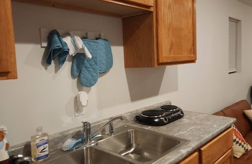 Hermitage Cabin | Cozy cabin in Hermitage 1.5 mile to Pomme De Terre Lake. Brand new construction.