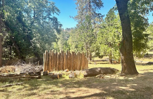 Pinehurst Cabin | Cozy Cabin in Sequoia Forest