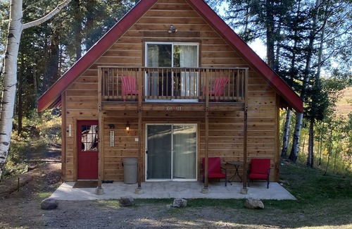 Creede Cabin | Cozy Cabin in the national forest