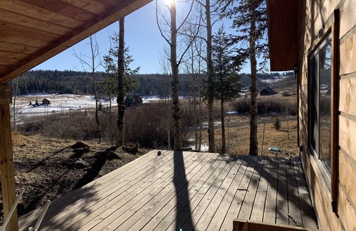 Creede Cabin | Cozy Cabin in the national forest