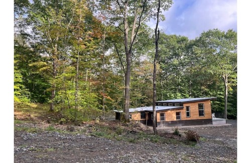 Afton House | Cozy Cabin in the Catskills