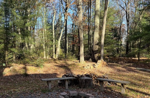 Lock Haven Cabin | Cozy Cabin in the heart of the Big Woods