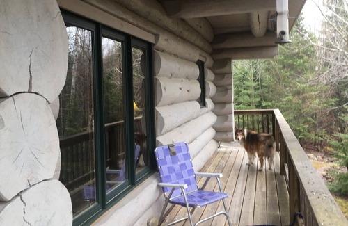 Grand Marais Cabin | Cozy cabin in the woods