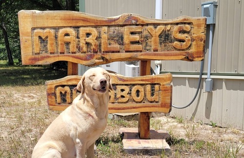 Lebanon Cabin | Cozy cabin near the Niangua river and Bennet Springs State park. Pet friendly !