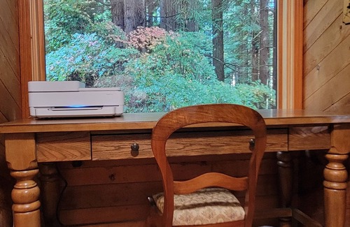 Eureka Cabin | Cozy Cabin Nestled on 2.5 Acres of Pristine Redwood Forest *Hot Tub *Fire Pit!
