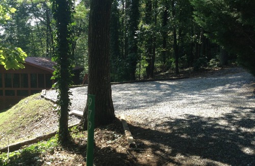 Blairsville Cabin | Cozy Cabin North GA Mountain - Pet Friendly!