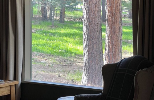 Rye Cabin | Cozy Cabin on the Creek, with fireplace and firepit.