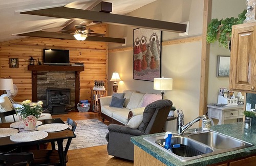 Royal Pines Cabin | COZY CABIN OUTSIDE OF ASHEVILLE. MOUNTAIN VIEW/ PET FRIENDLY/ WIFI AVAILABLE