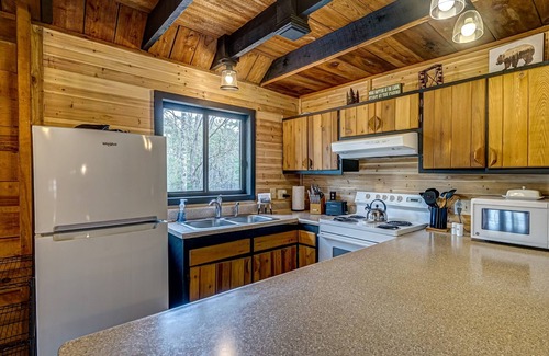 Blue Ridge Cabin | Cozy Cabin, Pioneer Lodge, Hot Tub, min from Blue Ridge