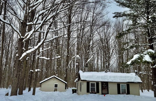 Kalkaska Cabin | Cozy cabin, private 10 acres close to atv trail & lake