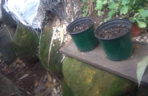 Manrique Cabin | Cozy cabin up the hills