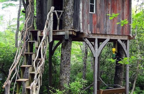 Lake Toxaway Cabin | Cozy Cabin w/Pickleball and Tennis On Site