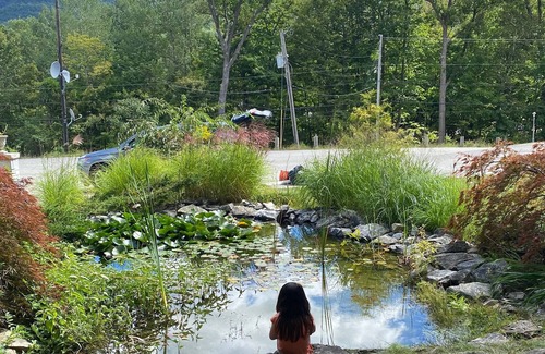 East Dorset Cabin | Cozy cabin with big views! Less than a mile from VT Summer Festival Horse Show
