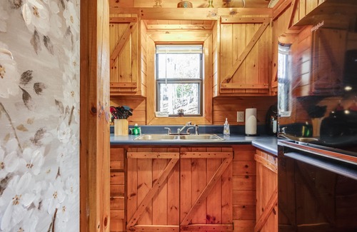 Blairsville Cabin | Cozy cabin with fireplace, central AC, full kitchen & firepit - dog-friendly