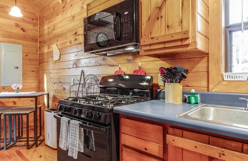 Blairsville Cabin | Cozy cabin with fireplace, central AC, full kitchen & firepit - dog-friendly