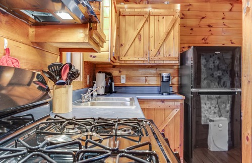 Blairsville Cabin | Cozy cabin with fireplace, central AC, full kitchen & firepit - dog-friendly