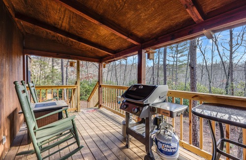 Blairsville Cabin | Cozy cabin with fireplace, central AC, full kitchen & firepit - dog-friendly