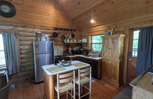 Mount Pleasant Cabin | Cozy cabin with great views overlooking Lake Seminole. (Pet friendly)