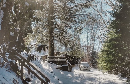 Mars Hill Cabin | Cozy cabin with hi-speed fiber optic. Dog friendly! 40 min to dtwn Asheville.