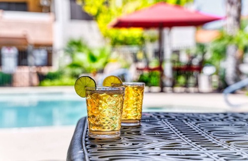 Central Scottsdale Condo | Cozy Cactus Condo in Scottsdale