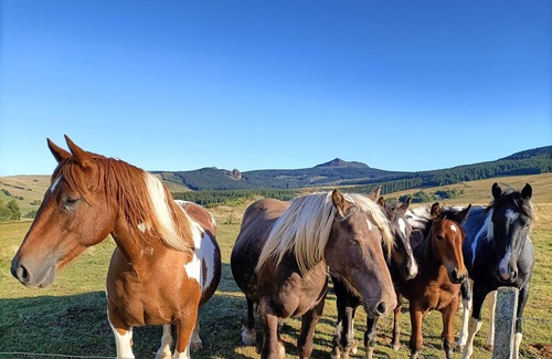 Saint-Front Cabin | Cozy Caravan at Volcano Foot – Hiking with Donkey & Goat Available !