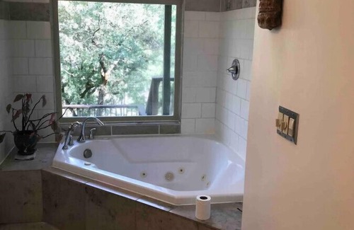 Chico Cabin | Cozy Centerville Cabin Jacuzzi Bathtub | Firepit | Secluded Nature