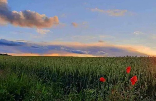 Mean Ski Chalet | Cozy chalet in Wéris 6 km from Durbuy