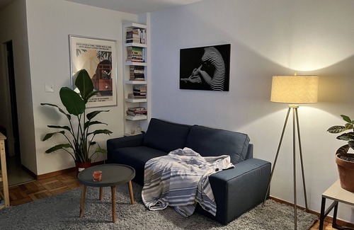 Mount Pleasant Apartment | Cozy Columbia heights studio with lovely cat!