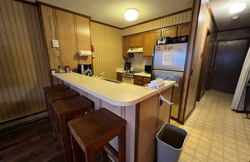 Snowshoe Apartment | Cozy Condo at Snowcrest