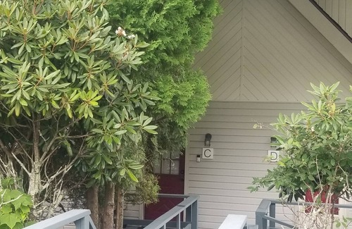 Beech Mountain Condo | Cozy Condo Close to Slopes