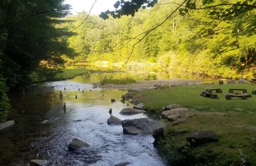 Beech Mountain Condo | Cozy Condo Close to Slopes