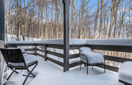 Harbor Springs Condo | Cozy Condo with Shared Pool & Tennis, Fast WiFi, Private Deck & Gas Fireplace