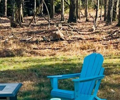 Albrightsville House | Cozy Cottage by the Lake