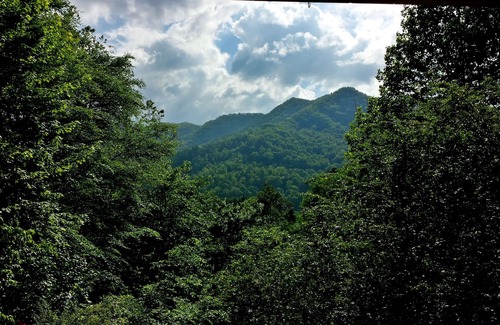 Waynesville House | Cozy Cottage in Waynesville, NC