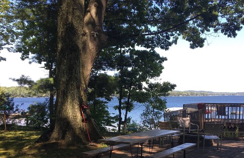 Bear Lake Cottage | Cozy Cottage on Beautiful 1744 Acre All Sports Lake