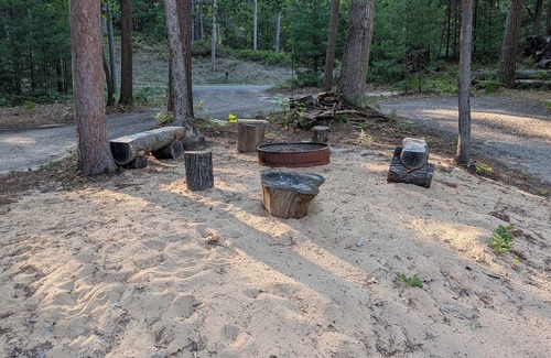 Pentwater Cottage | Cozy Cottage wildlife abounds at the REZ ofnPentwater