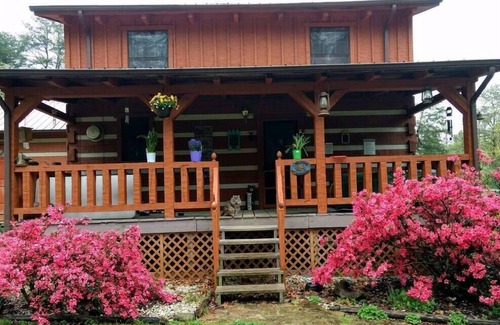 Kodak Cabin | Cozy Country Cabin | Hot Tub + Outdoor Charm