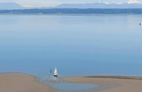 Camano Island Apartment | Cozy Cove: tiny home with an amazing view!