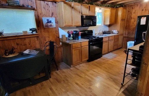 Crystal House | Cozy Crystal Cabin with Lake Access