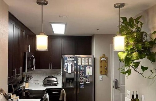 Saranap Apartment | Cozy Downtown Walnut Creek Apt