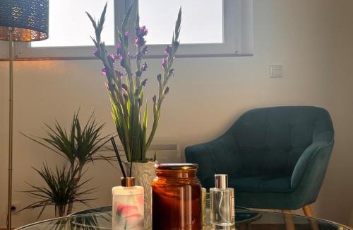 Jouy-en-Josas Apartment | Cozy duplex in the city center HEC & Tecomah