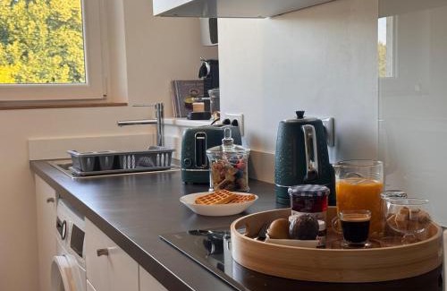 Jouy-en-Josas Apartment | Cozy duplex in the city center HEC & Tecomah