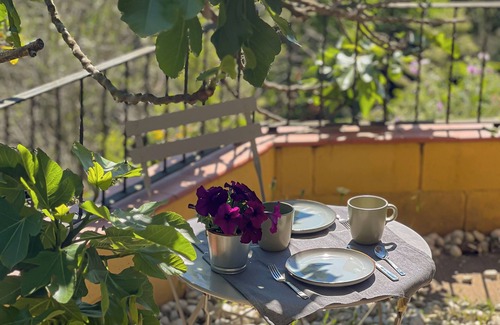 Vallirana Apartment | Cozy Flat surronded by Nature Just Outside Barcelona