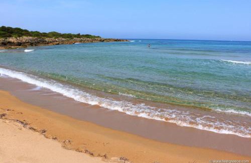 Gargaliani Apartment | Cozy flats in an olive grove by the sandy beach