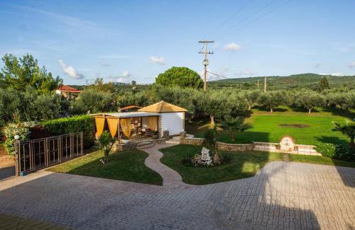 Gargaliani Apartment | Cozy flats in an olive grove by the sandy beach