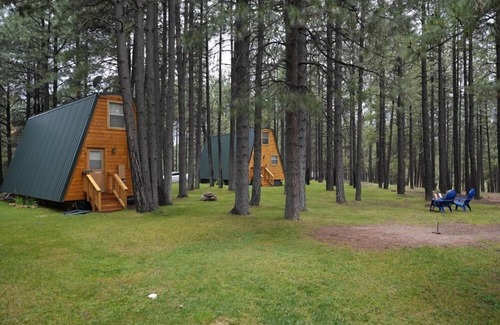 Heber Cabin | ★Cozy Forest Cabin w/Firepit/Grill/Trails/Fishing★