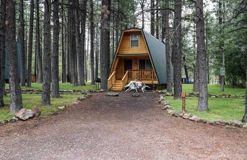 Heber Cabin | ★Cozy Forest Cabin w/Firepit/Grill/Trails/Fishing★